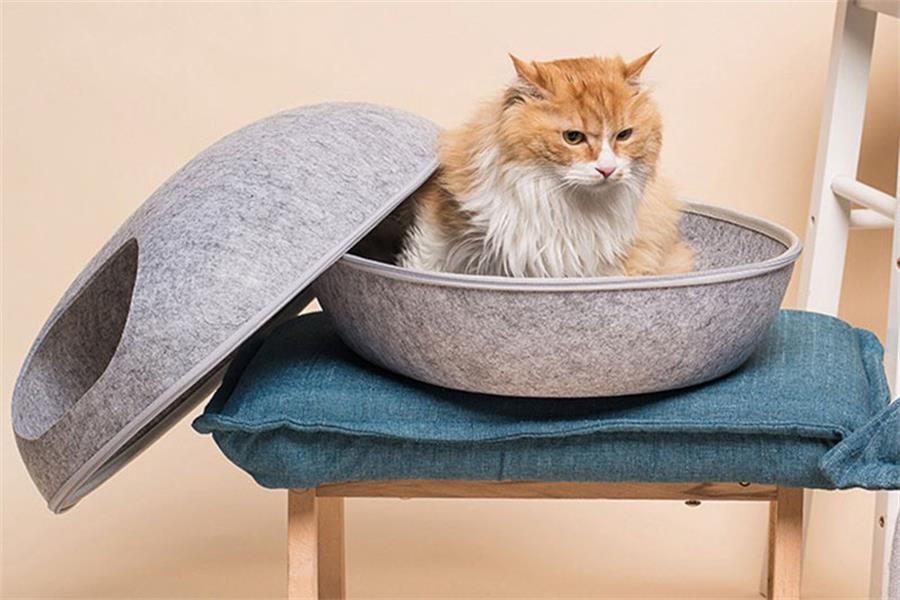 cama acostada para gato mascota