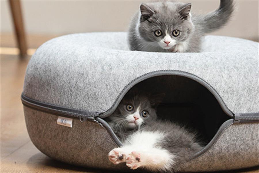 cama para gatos con juego interactivo para mascotas