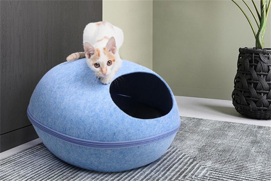 Cama portátil para perros y gatos, asiento de seguridad para coche de viaje para mascotas