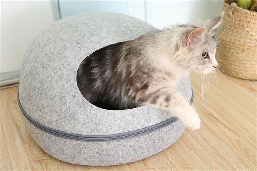 luxury pet cat bed
