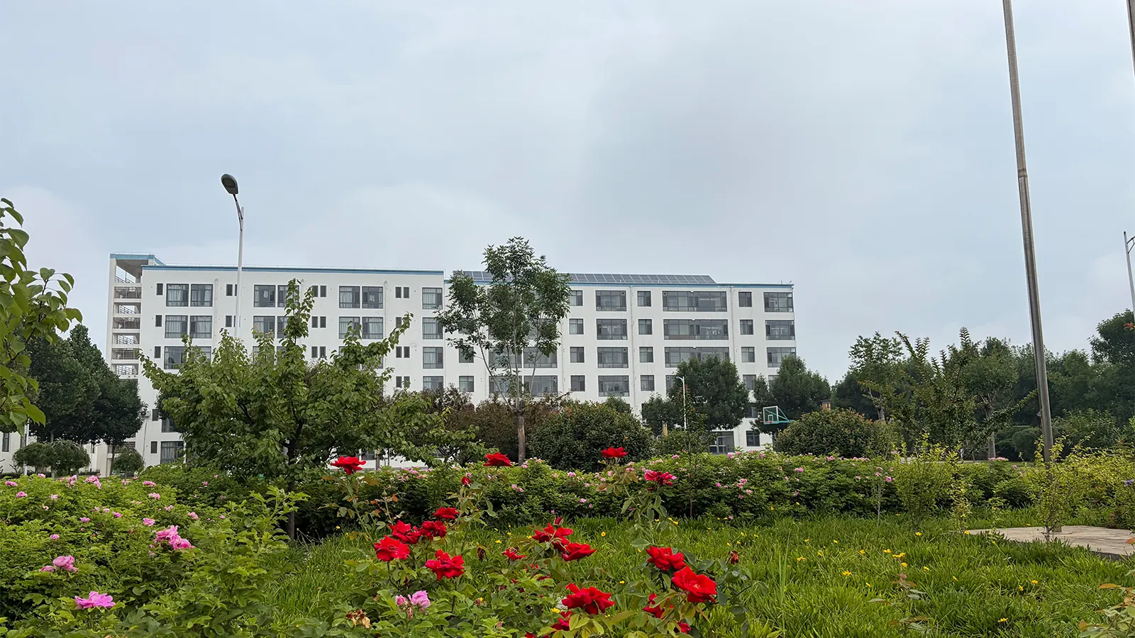 manufacturing-facility-landscaped-campus